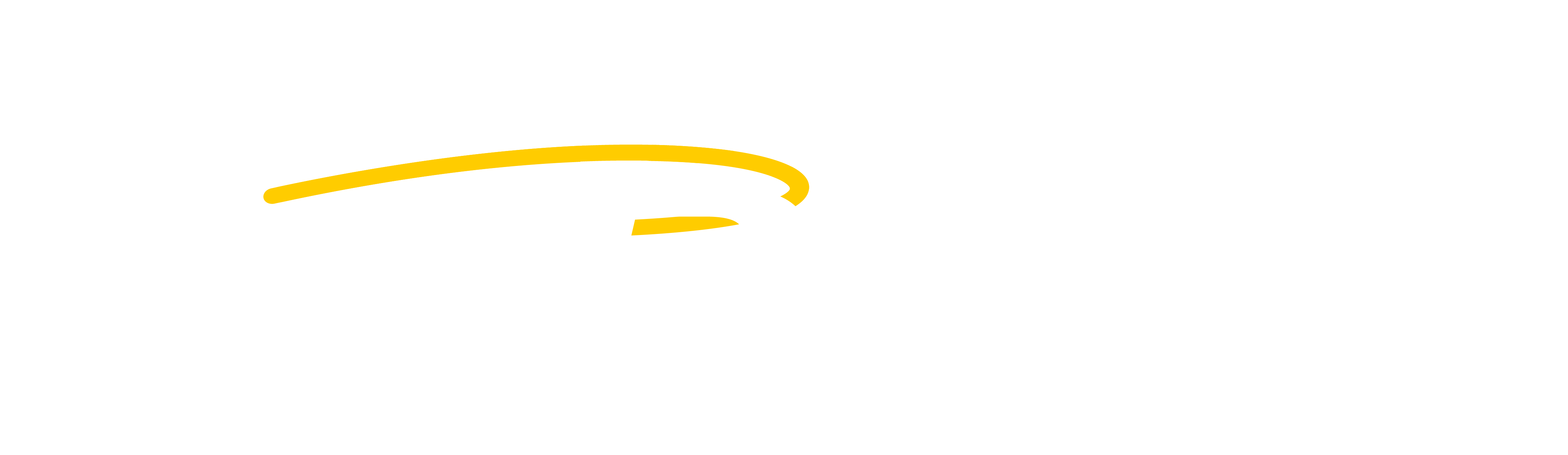 Auto Bless Transportes